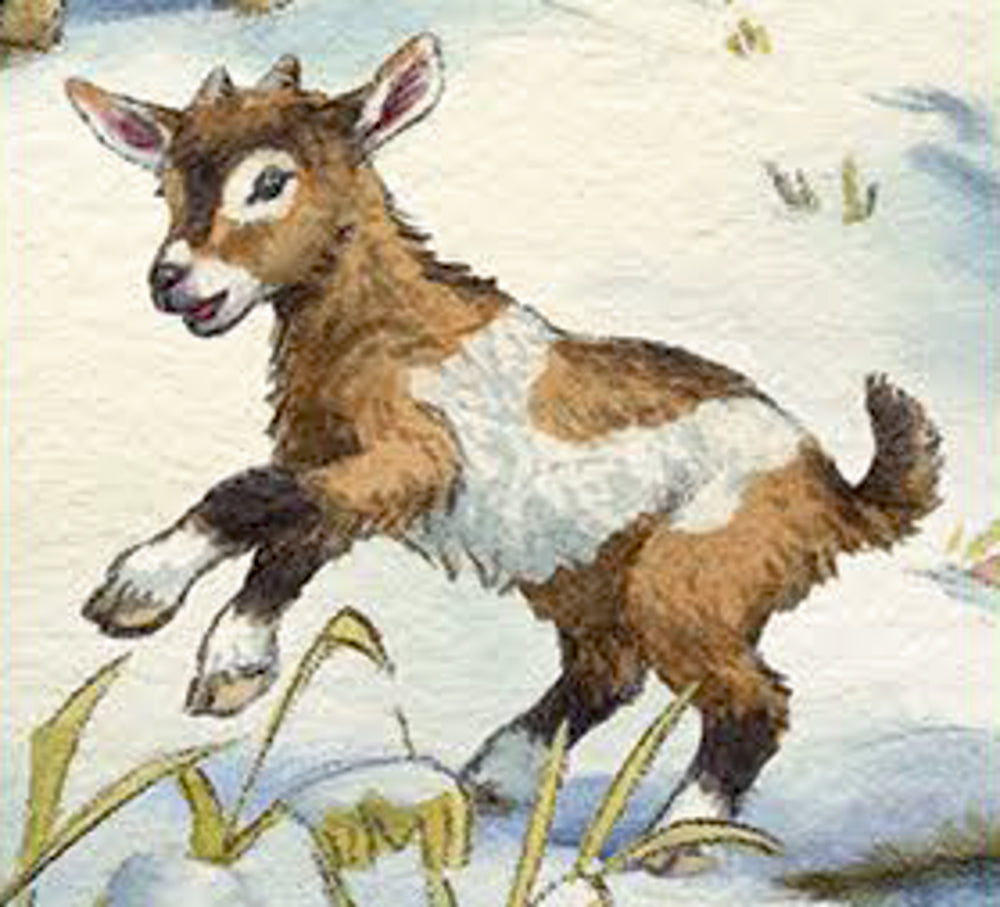 Adventskalender Coppenrath Verlag Unsere Tiere auf dem Land, Sound-Adventskalender