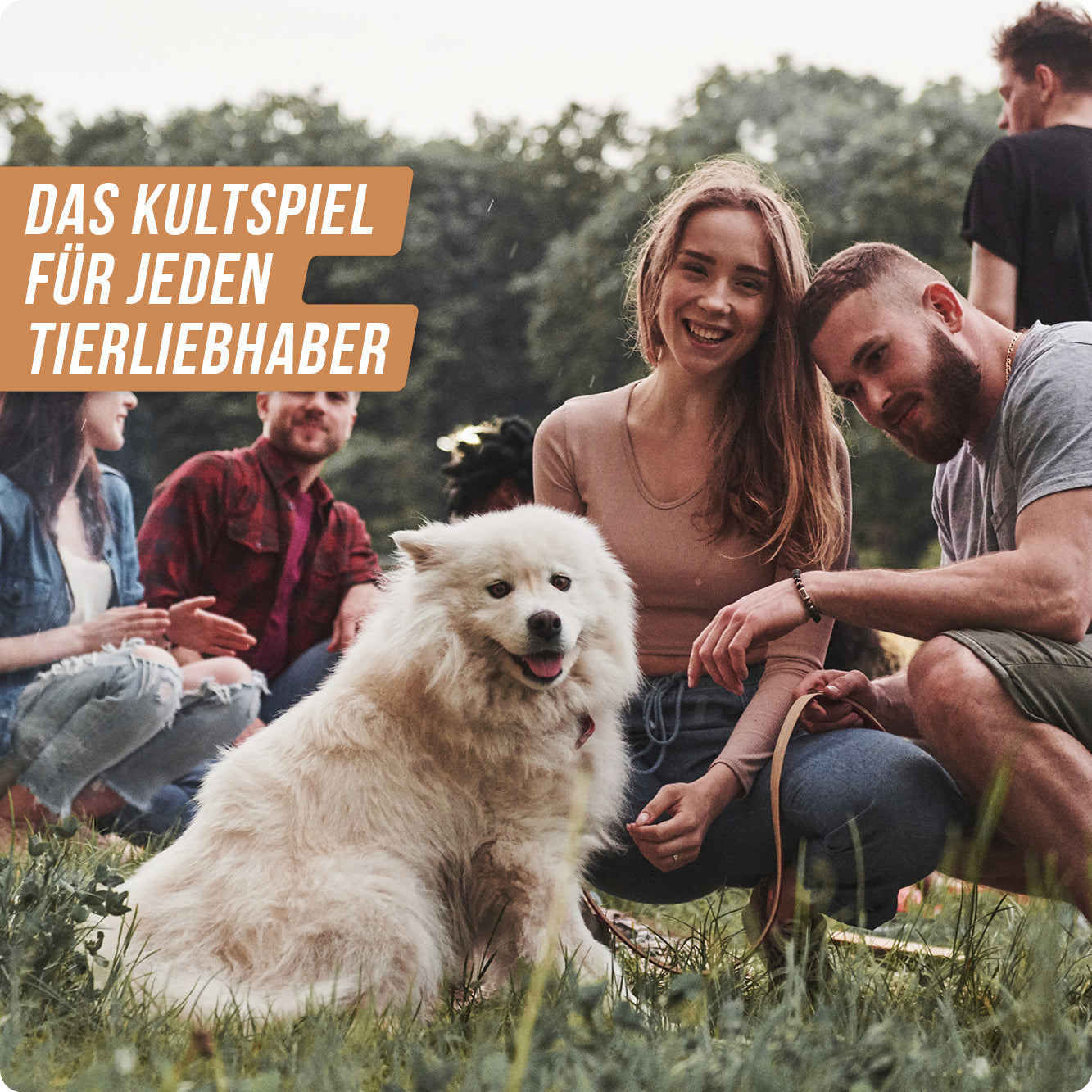 Wissensspiel Denkriesen STADT LAND VOLLPFOSTEN® - Haustier Edition "Für alle Felle"