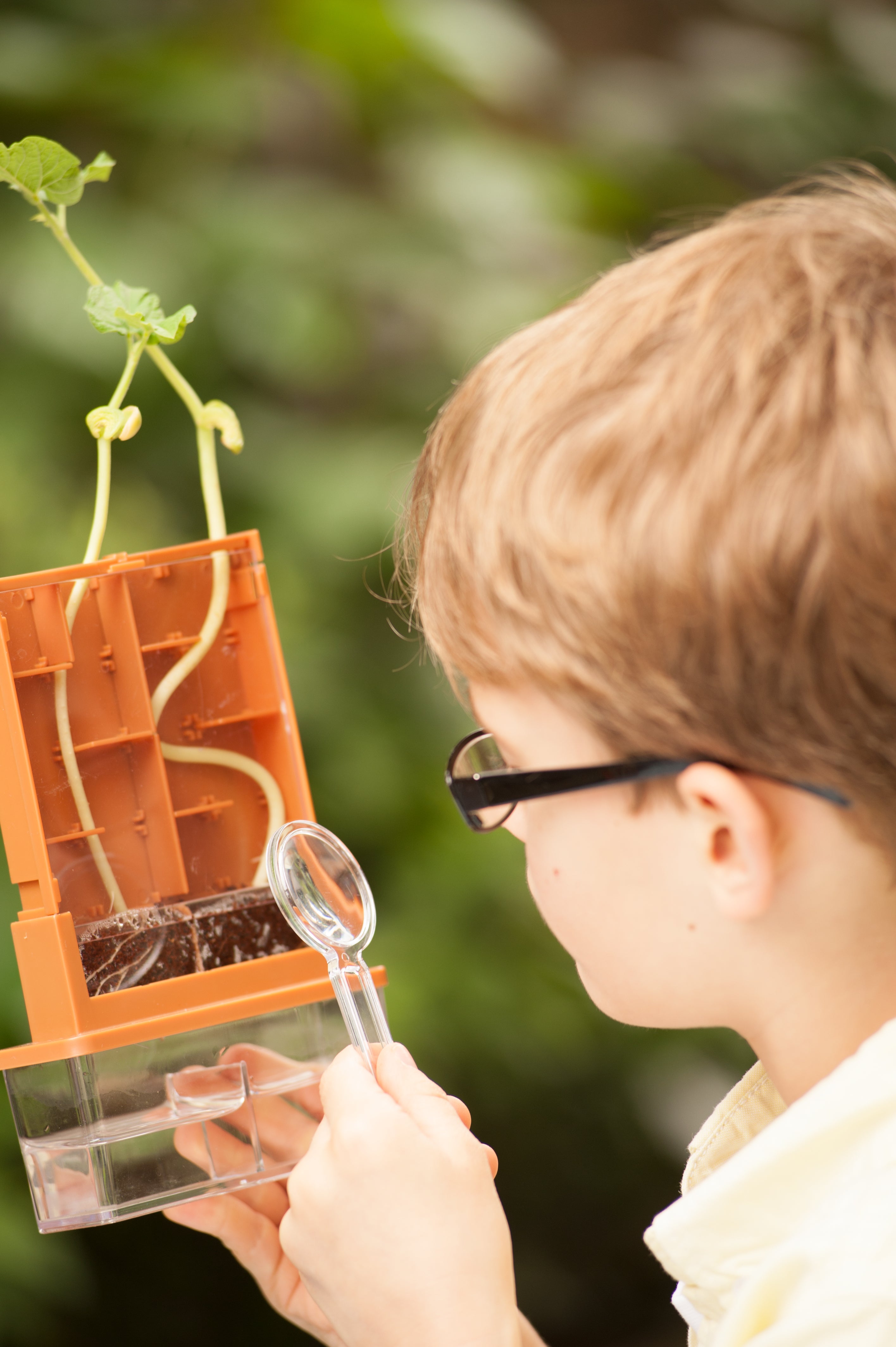 Biologie HCM-Kinzel Green Science - Wachsendes Labyrinth