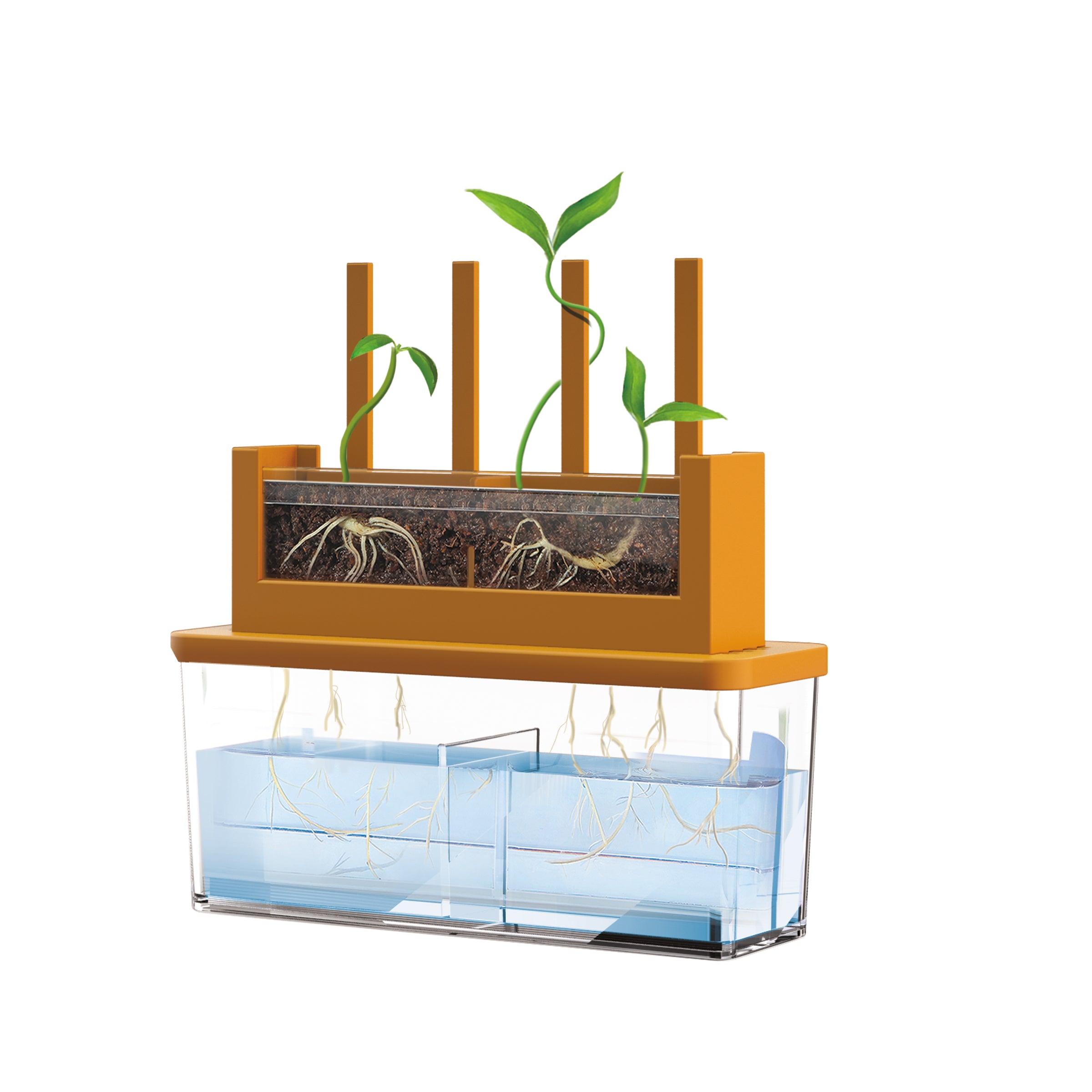 Biologie HCM-Kinzel Green Science - Wachsendes Labyrinth