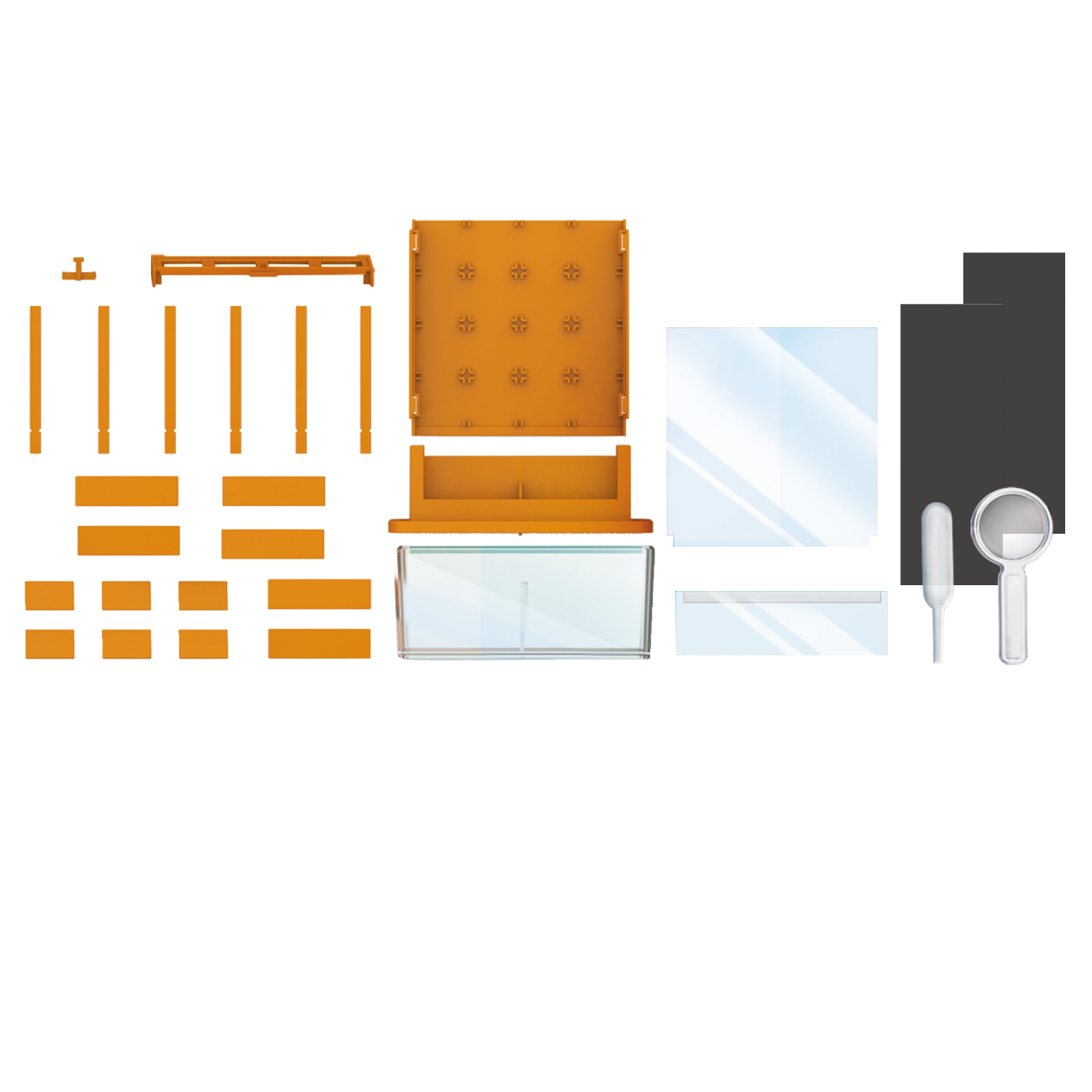 Biologie HCM-Kinzel Green Science - Wachsendes Labyrinth