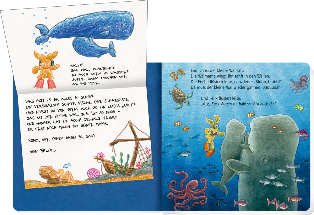 Buch Coppenrath Verlag Erste Gutenacht-Briefe von Felix (Pappbilderbuch)