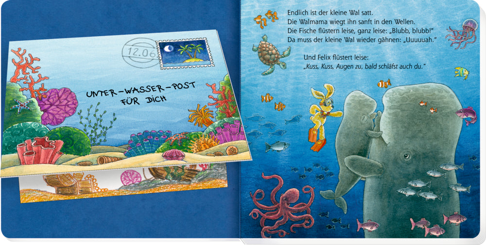 Buch Coppenrath Verlag Erste Gutenacht-Briefe von Felix (Pappbilderbuch)