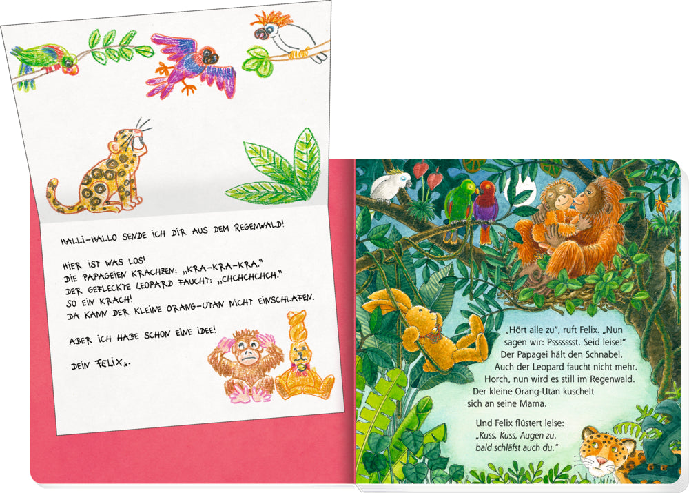 Buch Coppenrath Verlag Erste Gutenacht-Briefe von Felix (Pappbilderbuch)