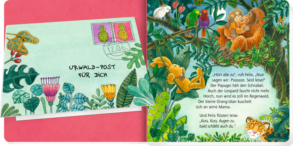 Buch Coppenrath Verlag Erste Gutenacht-Briefe von Felix (Pappbilderbuch)