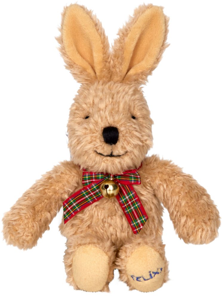 Buch Coppenrath Verlag Geschenkset: Willkommen, kleines Baby! Dein Felix