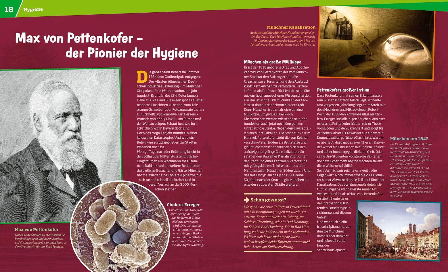 Buch Tessloff WAS IST WAS Band 147. Die Toilette. Alles zum stillen Örtchen