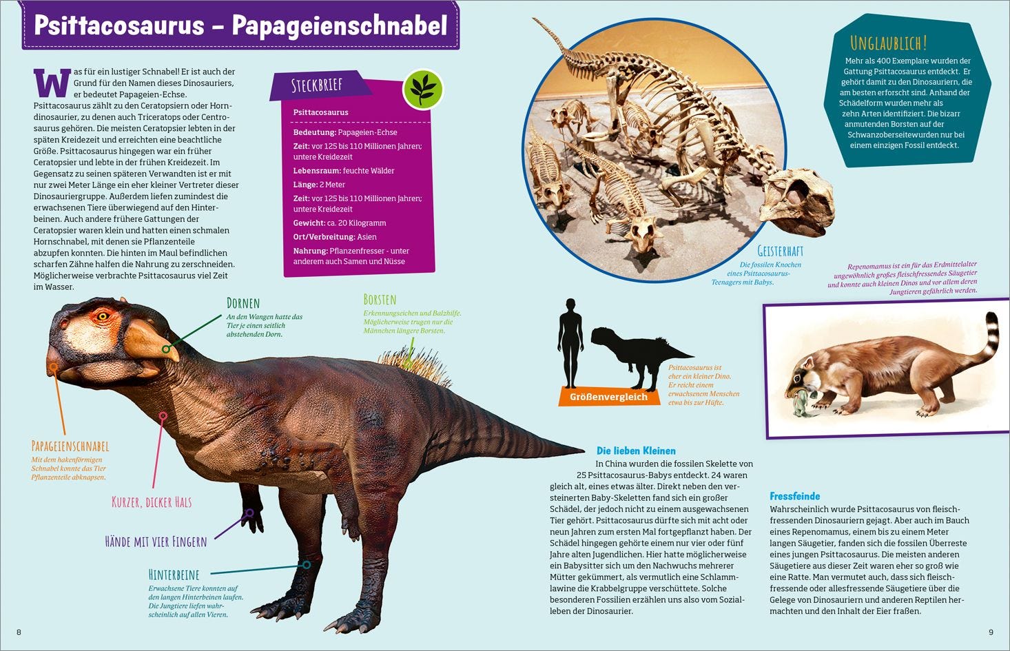Sachbuch Tessloff WAS IST WAS Dinosaurier und andere Urzeittiere