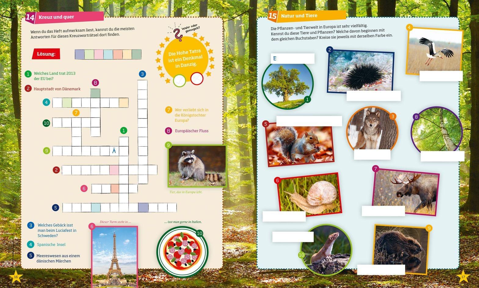 Buch Tessloff WAS IST WAS Rätseln und Stickern: Europa