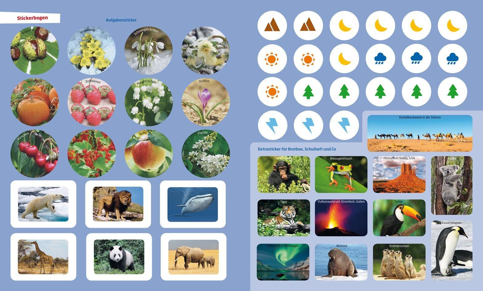 Buch Tessloff WAS IST WAS Rätseln und Stickern: Natur