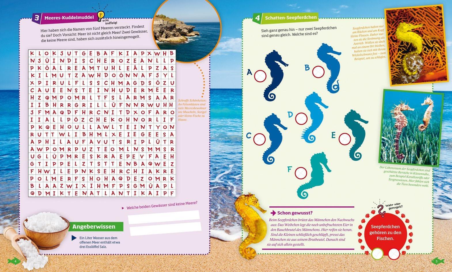 Buch Tessloff WAS IST WAS Rätseln und Stickern: Meer