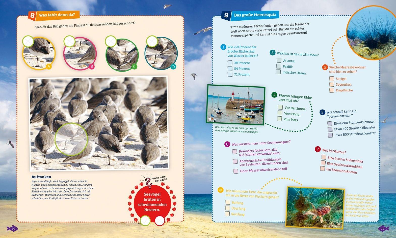 Buch Tessloff WAS IST WAS Rätseln und Stickern: Meer