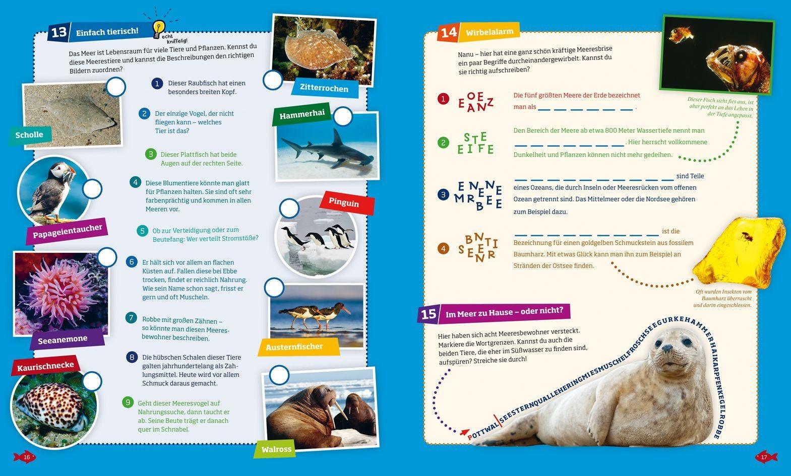 Buch Tessloff WAS IST WAS Rätseln und Stickern: Meer