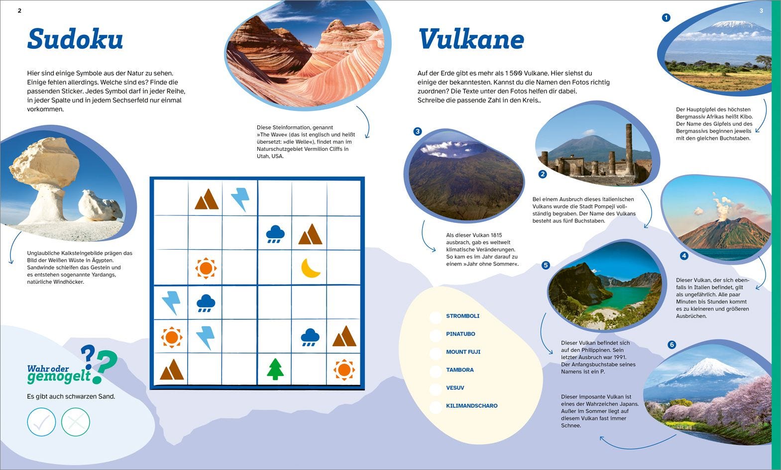 Buch Tessloff WAS IST WAS Rätseln und Stickern: Erde