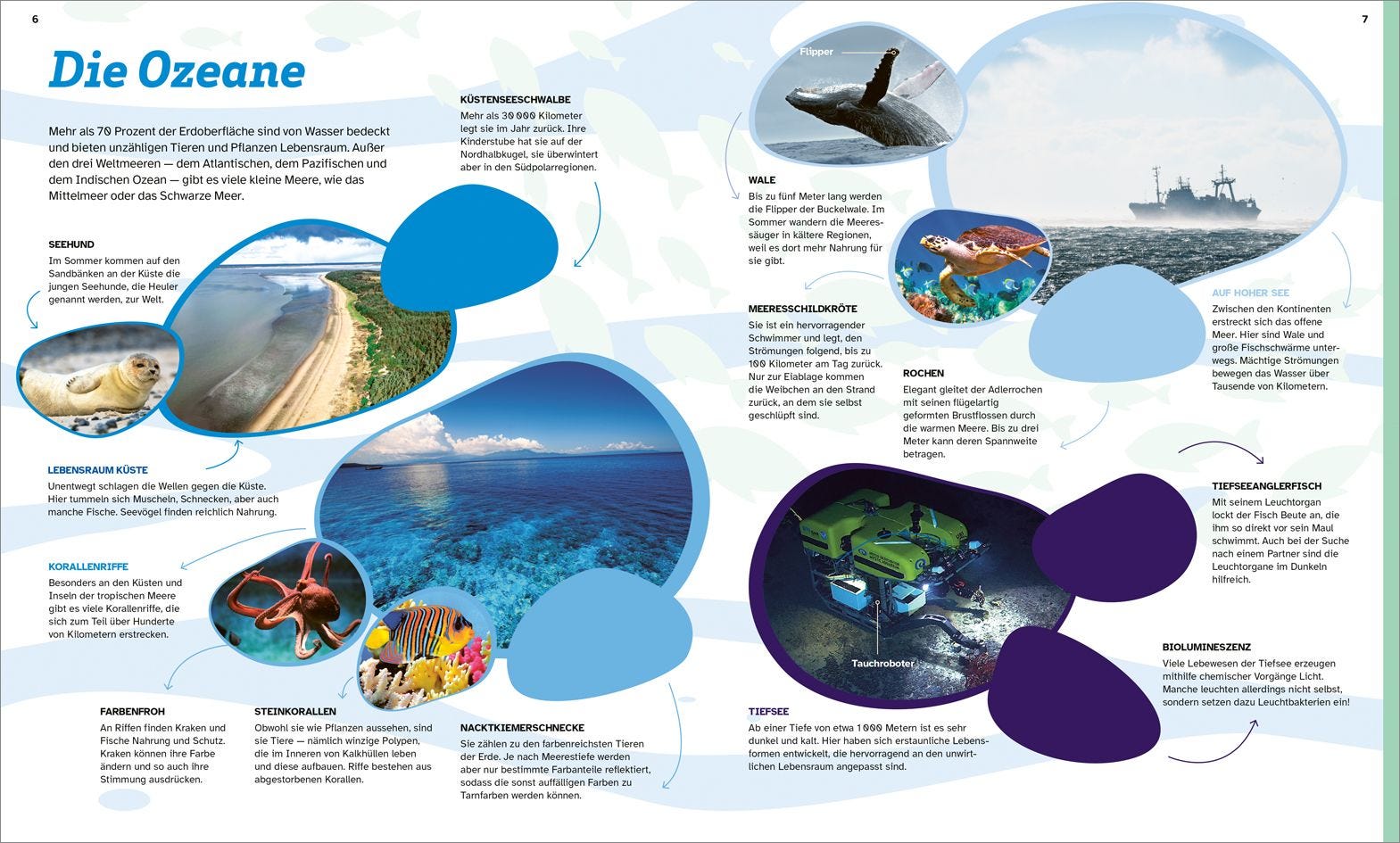 Buch Tessloff WAS IST WAS Rätseln und Stickern: Erde