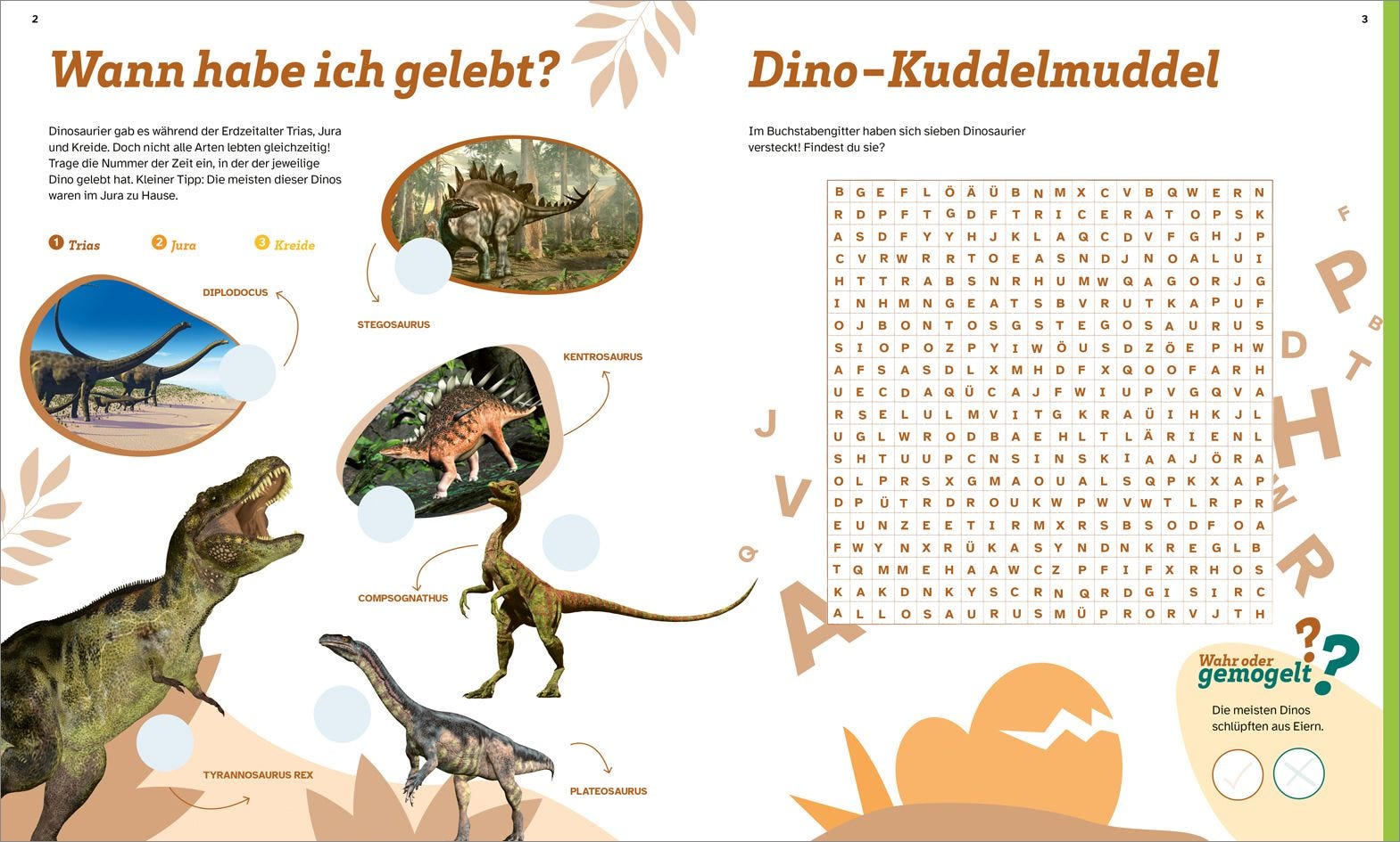 Buch Tessloff WAS IST WAS Rätseln und Stickern: Dinosaurier
