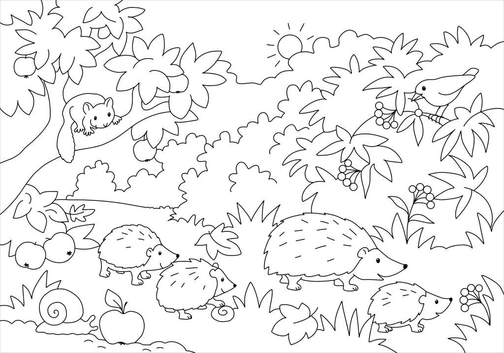 Malen Tessloff Mein schönstes Malbuch // Wald und Wiese