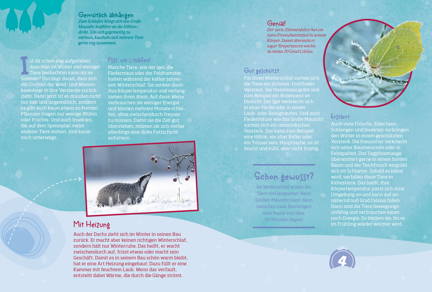 Adventskalender Tessloff Mein WAS IST WAS Adventskalenderbuch 3