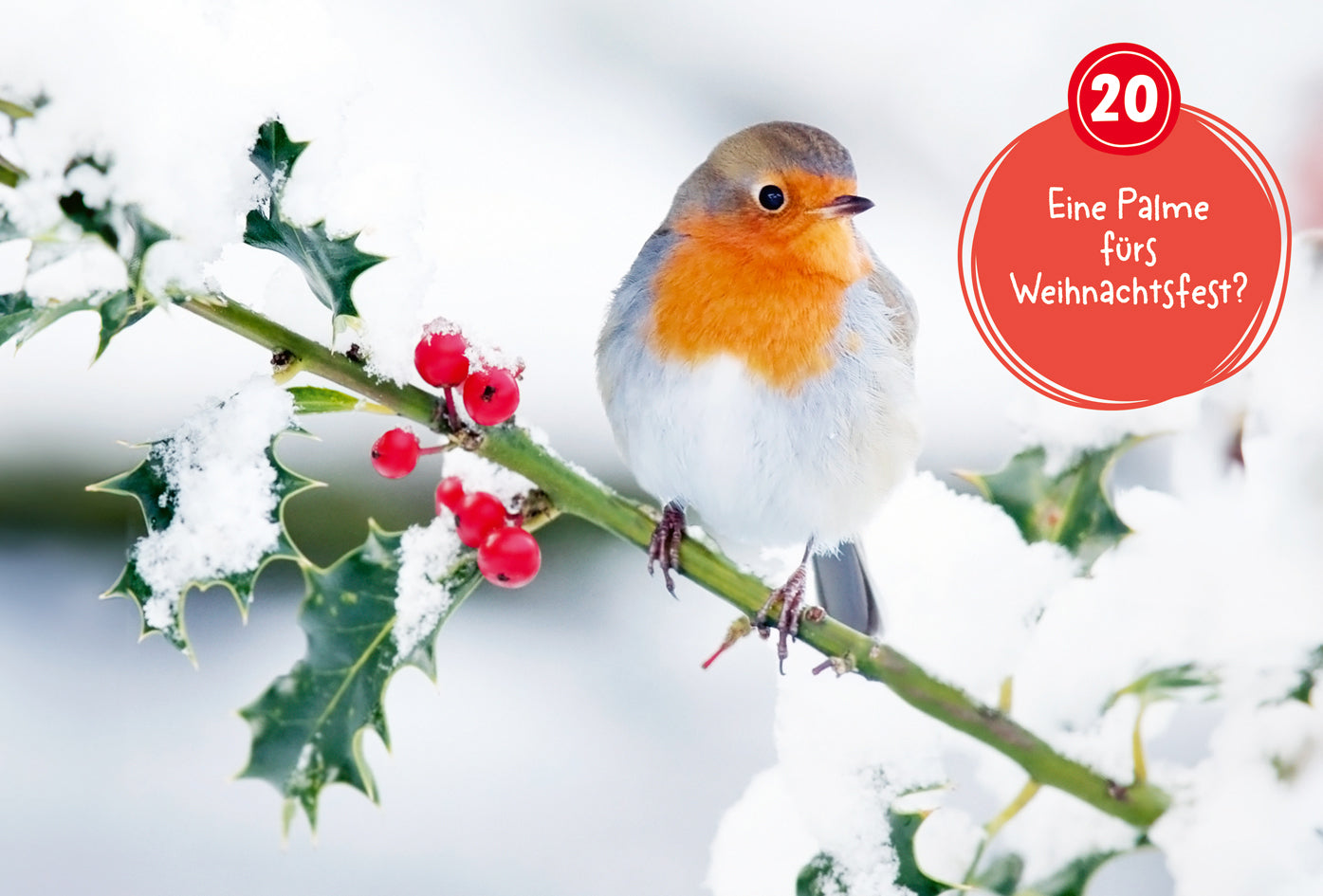 Adventskalender Tessloff Mein WAS IST WAS Adventskalenderbuch 3