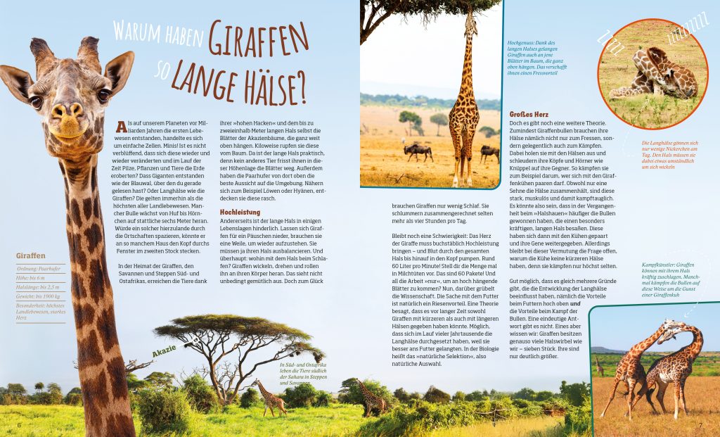 Buch Tessloff Das große WAS IST WAS-Antwortbuch Tierwelt