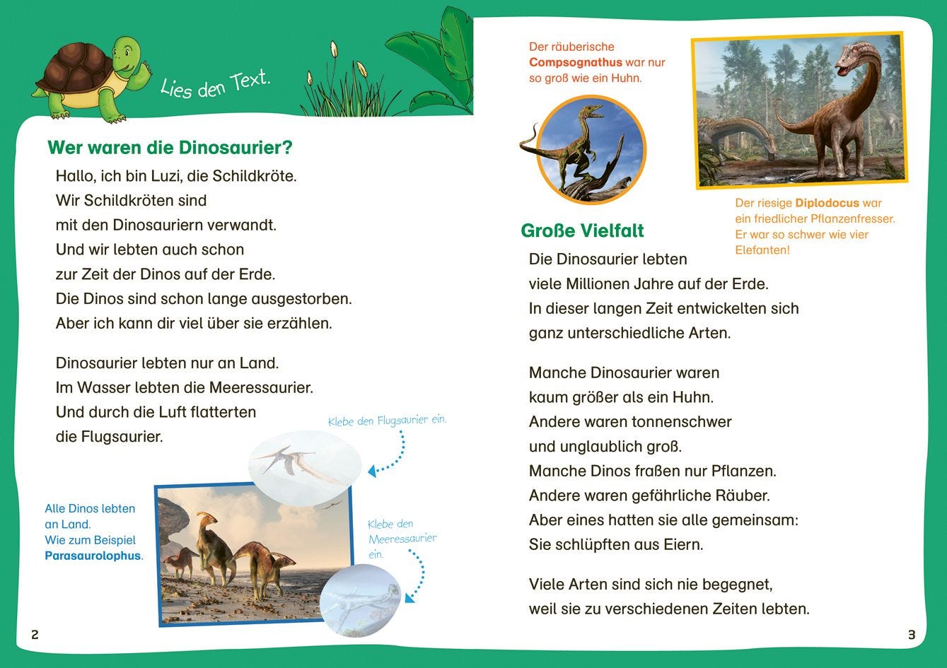Sachbuch Tessloff WAS IST WAS Erstes Lesen. Leserätsel Dinosaurier