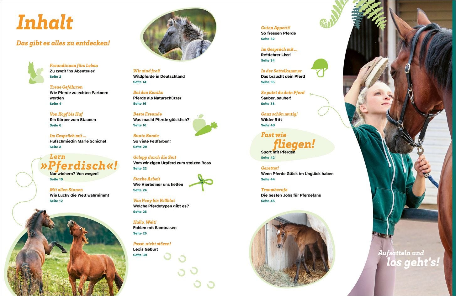 Buch Tessloff WAS IST WAS Pferde. Freunde, Freiheit, Abenteuer