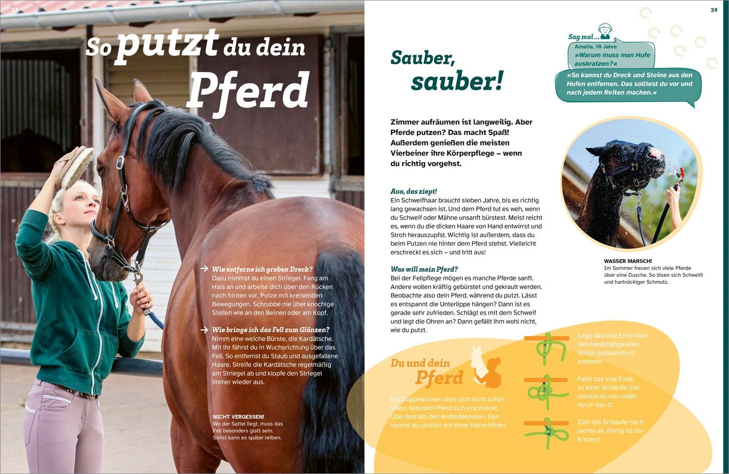 Buch Tessloff WAS IST WAS Pferde. Freunde, Freiheit, Abenteuer