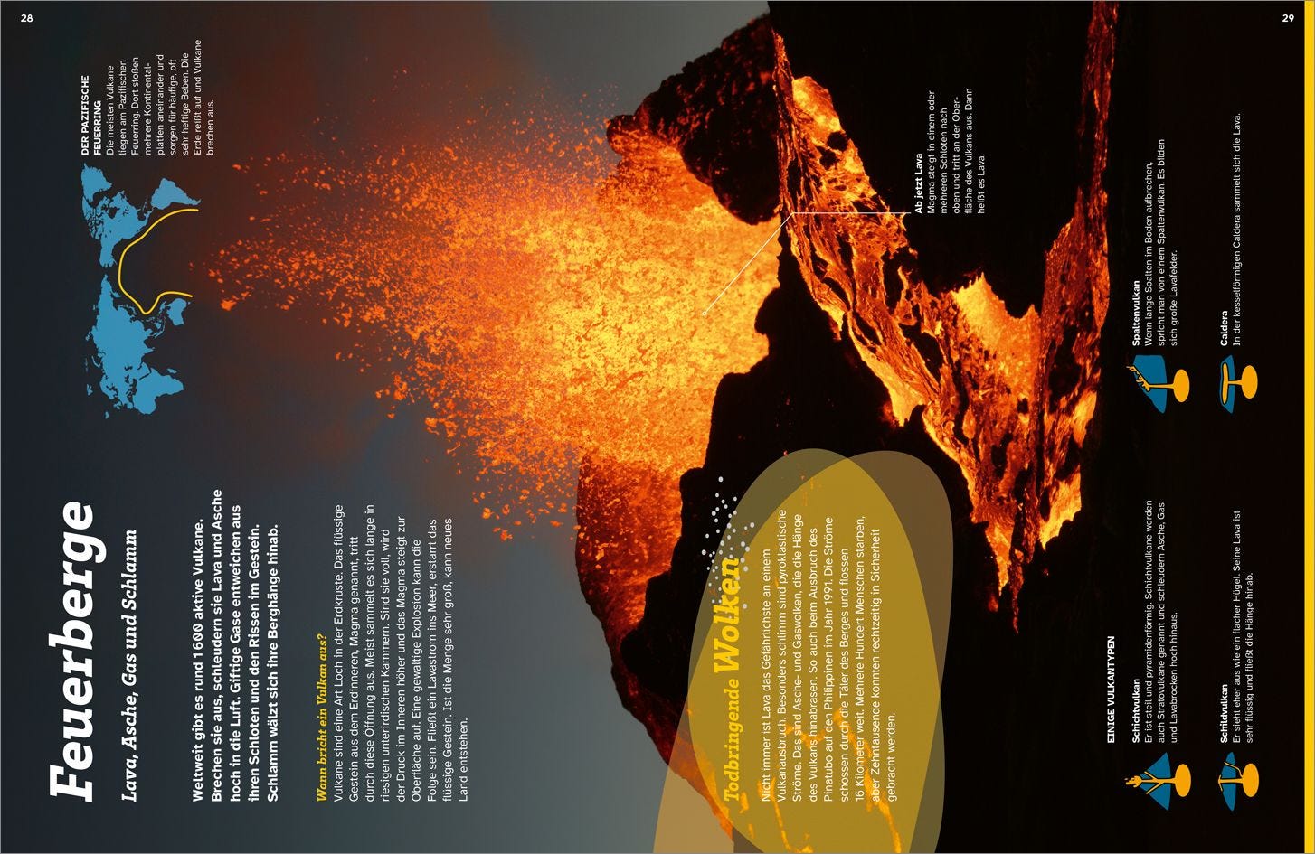 Buch Tessloff WAS IST WAS Die Erde. Unser einzigartiger Planet