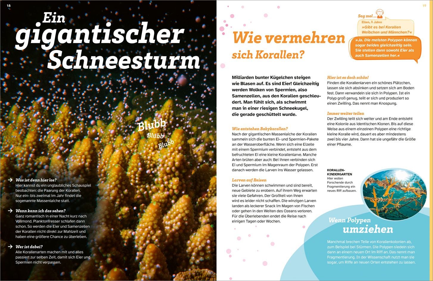 Buch Tessloff WAS IST WAS Korallenriff. Mitten im Gewusel