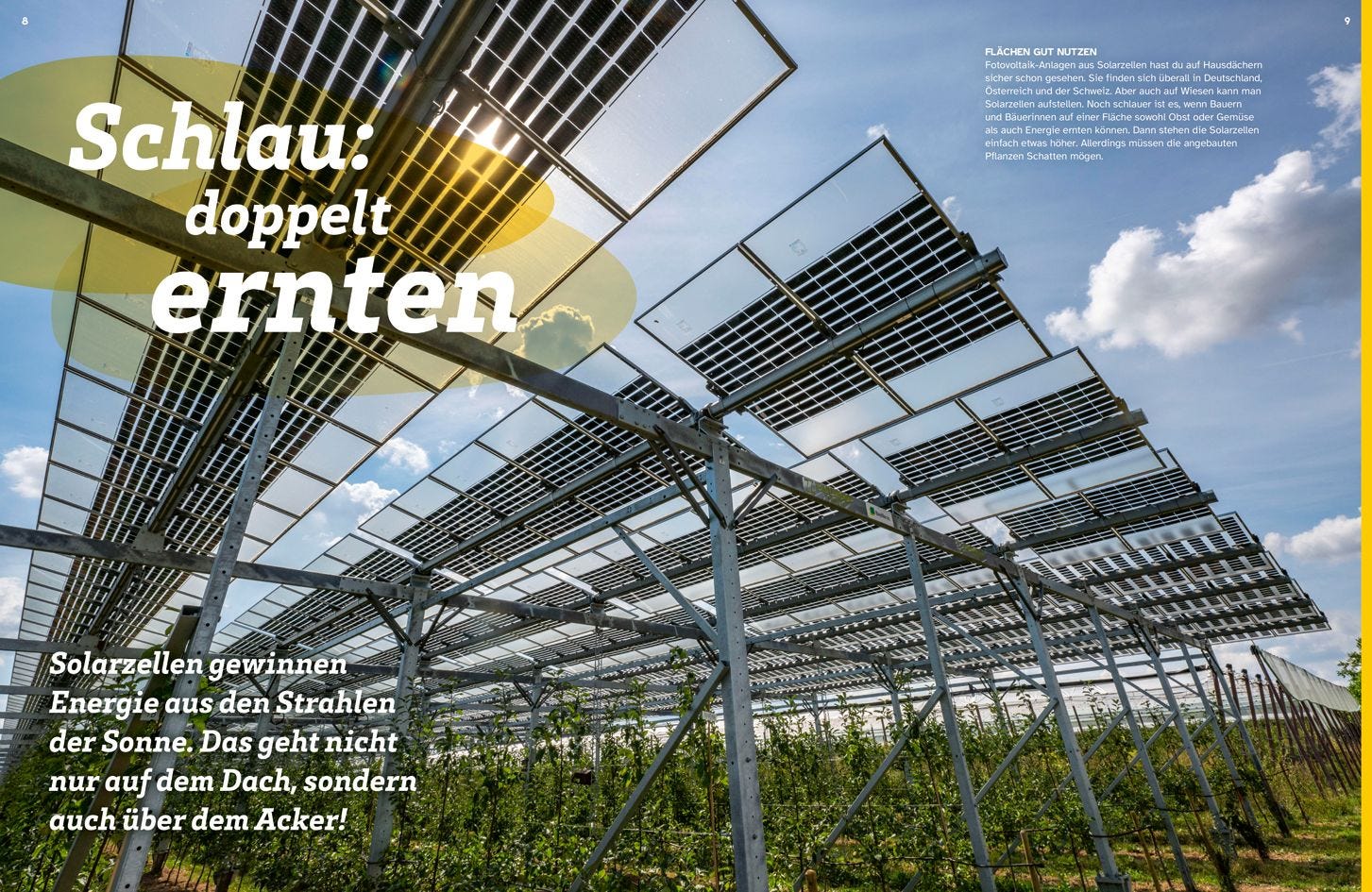 Buch Tessloff WAS IST WAS Grüne Energie. Power für die Zukunft