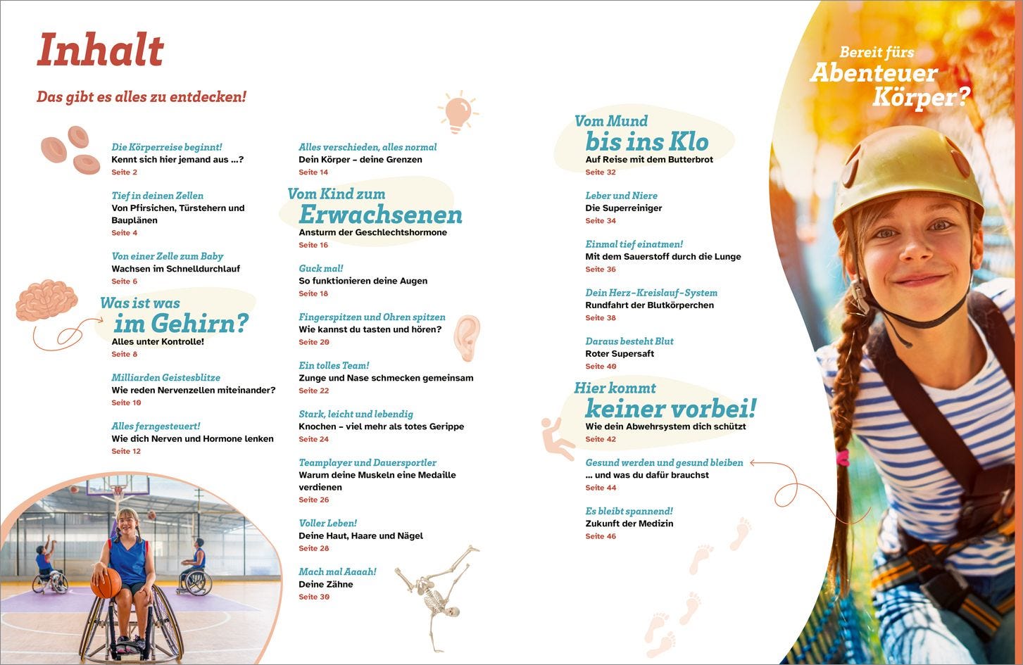 Buch Tessloff WAS IST WAS Dein Körper. Was alles in dir steckt