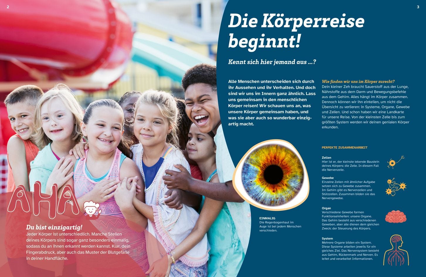 Buch Tessloff WAS IST WAS Dein Körper. Was alles in dir steckt