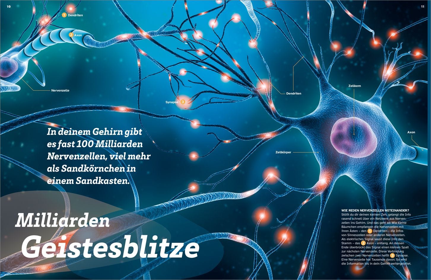 Buch Tessloff WAS IST WAS Dein Körper. Was alles in dir steckt