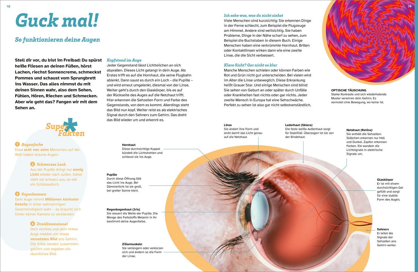 Buch Tessloff WAS IST WAS Dein Körper. Was alles in dir steckt