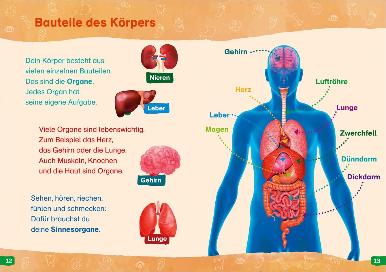 Sachbuch Tessloff WAS IST WAS Erstes Lesen easy! Band 13. Was unser Körper alles kann