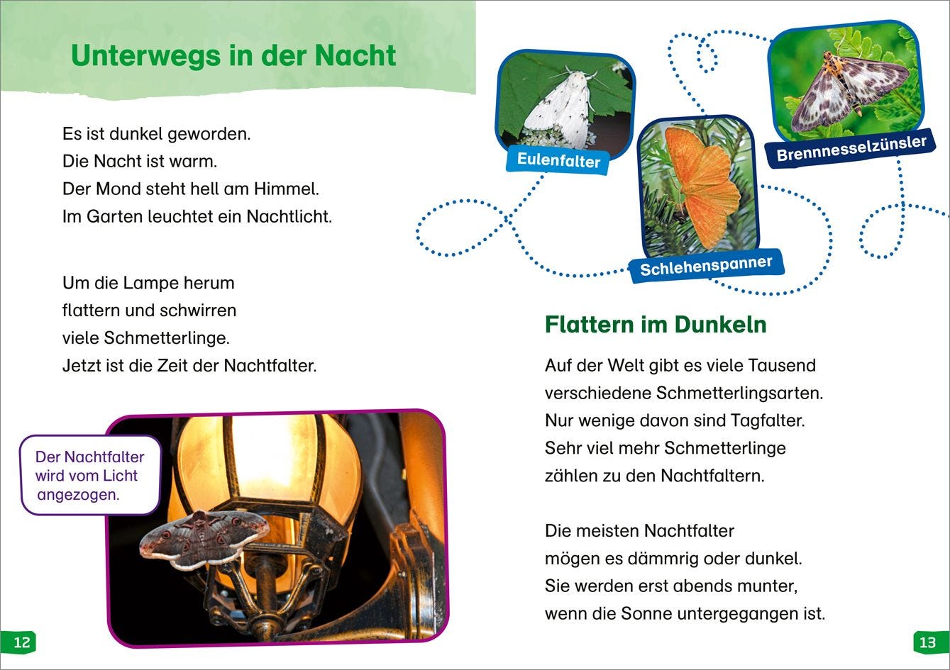 Sachbuch Tessloff WAS IST WAS Erstes Lesen easy! Band 15. Wie leben die Schmetterlinge?