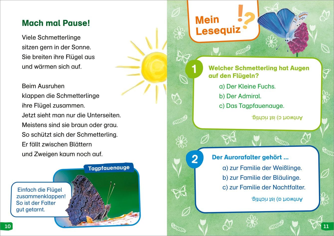 Sachbuch Tessloff WAS IST WAS Erstes Lesen easy! Band 15. Wie leben die Schmetterlinge?