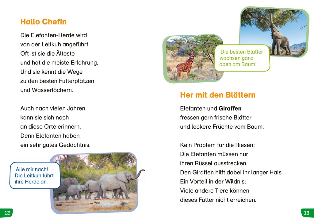 Sachbuch Tessloff WAS IST WAS Erstes Lesen easy! Tiere in Afrika