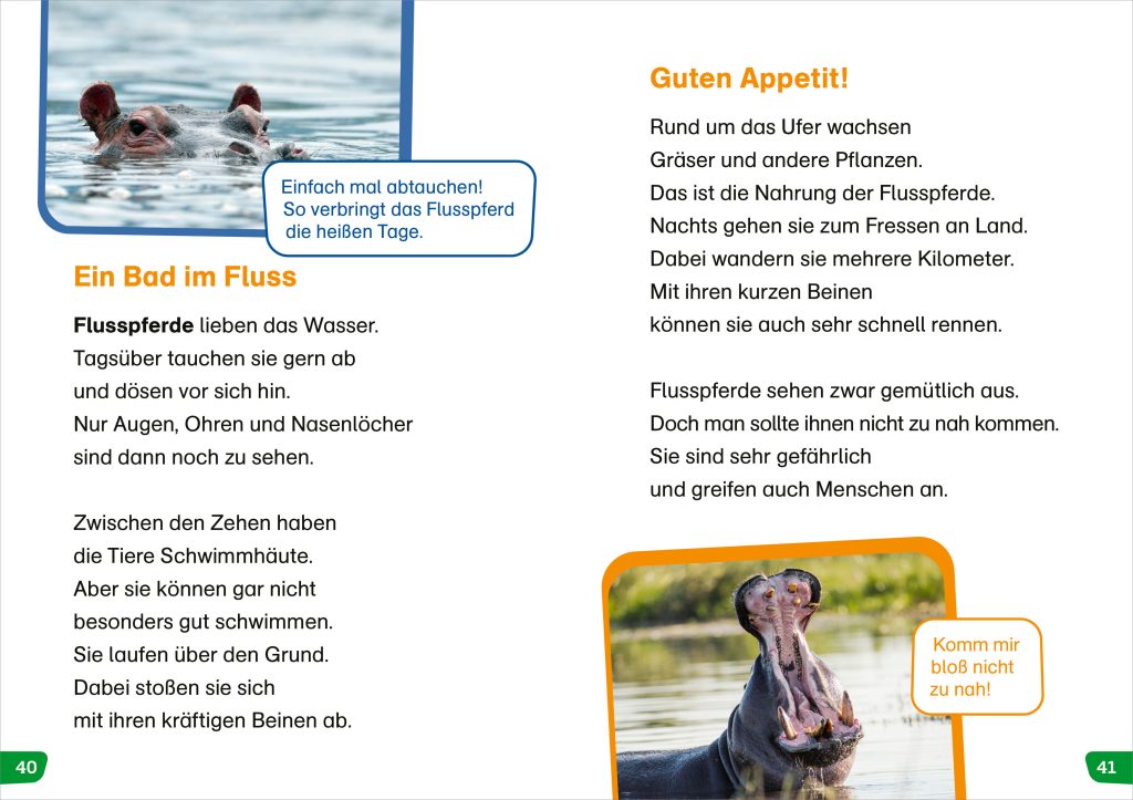 Sachbuch Tessloff WAS IST WAS Erstes Lesen easy! Tiere in Afrika