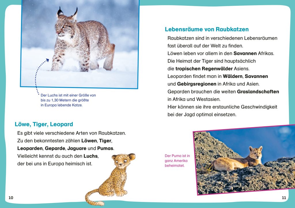 WAS IST WAS Erstes Lesen. Leserätsel Raubkatzen