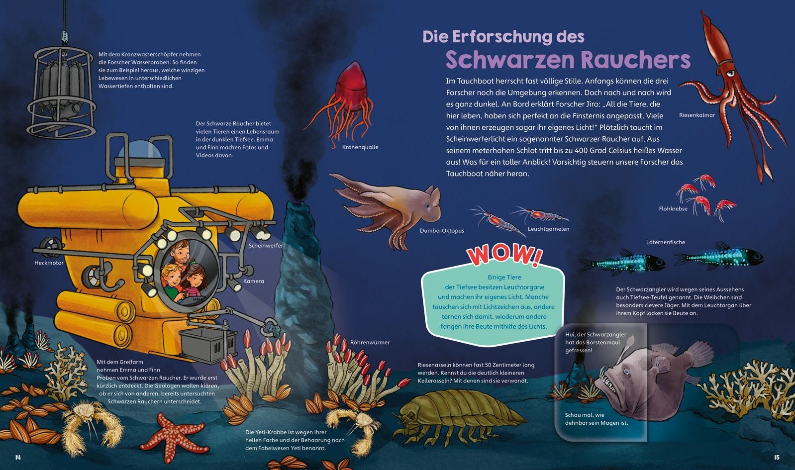 Buch Tessloff WAS IST WAS Junior Band 42 Erforsche die Ozeane!
