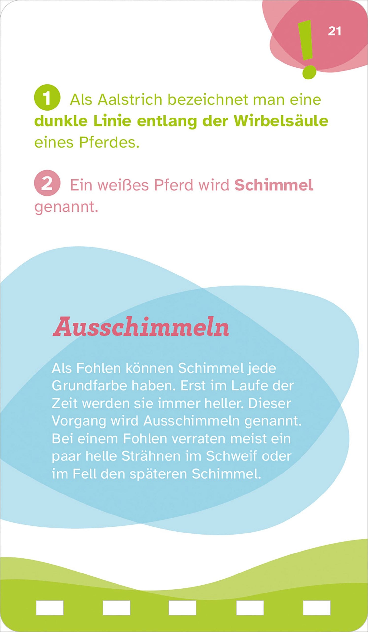 WAS IST WAS Quiz Pferde