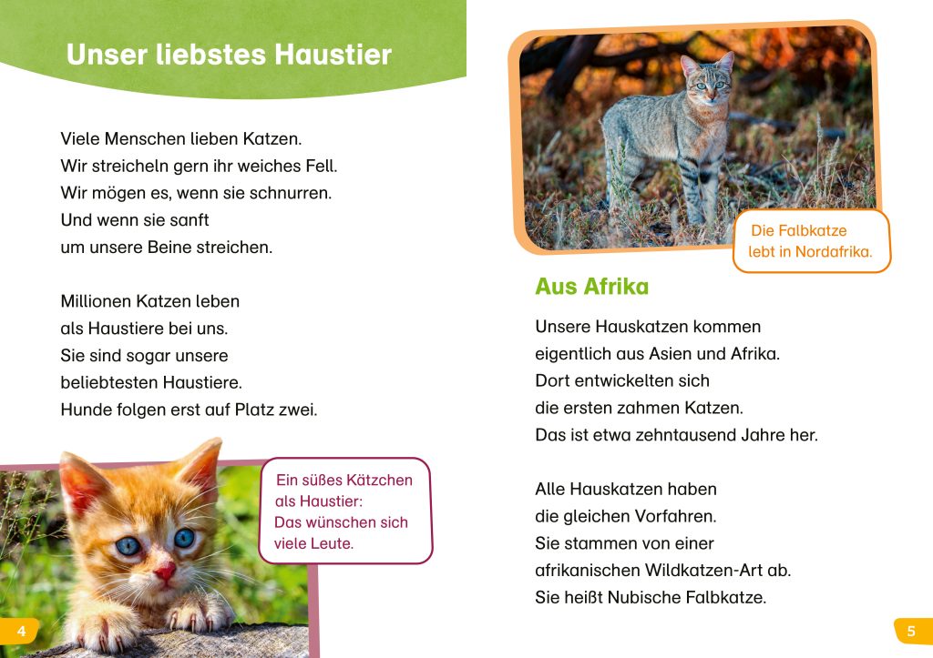 WAS IST WAS Erstes Lesen easy! Katzen – meine Lieblingstiere