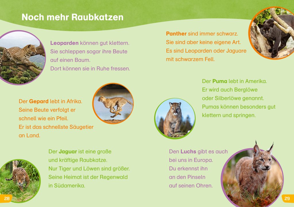WAS IST WAS Erstes Lesen easy! Katzen – meine Lieblingstiere