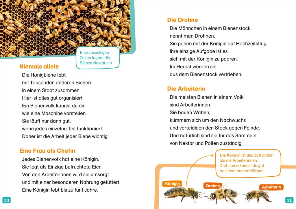 WAS IST WAS Erstes Lesen. Bienen