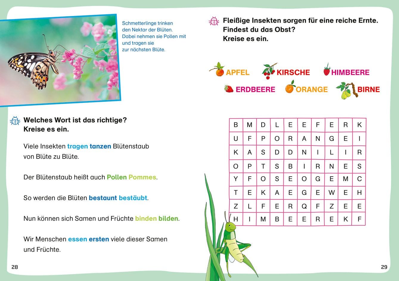 Sachbuch Tessloff WAS IST WAS Erstes Lesen. Leserätsel Insekten
