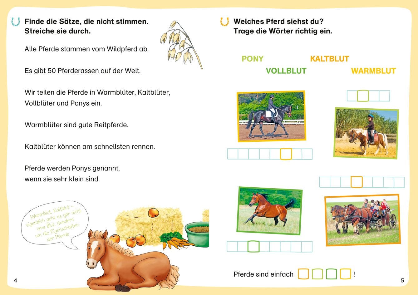 WAS IST WAS Erstes Lesen. Leserätsel Pferde und Ponys