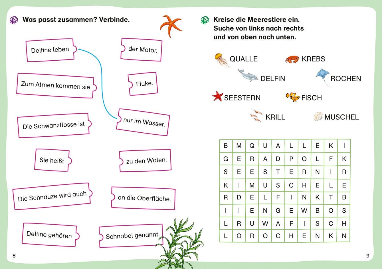 Sachbuch Tessloff WAS IST WAS Erstes Lesen. Leserätsel Wale und Delfine