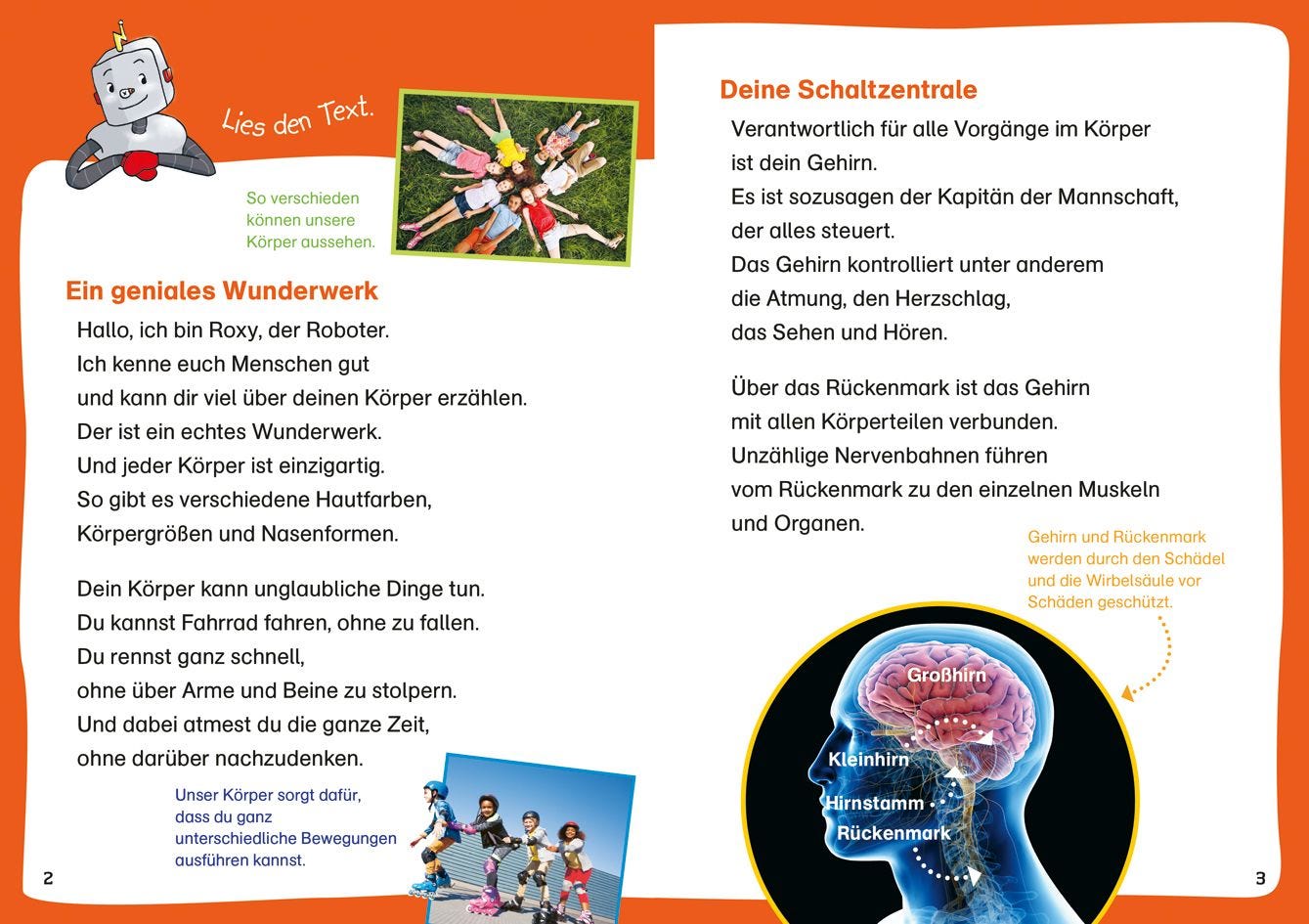 Sachbuch Tessloff WAS IST WAS Erstes Lesen. Leserätsel Unser Körper