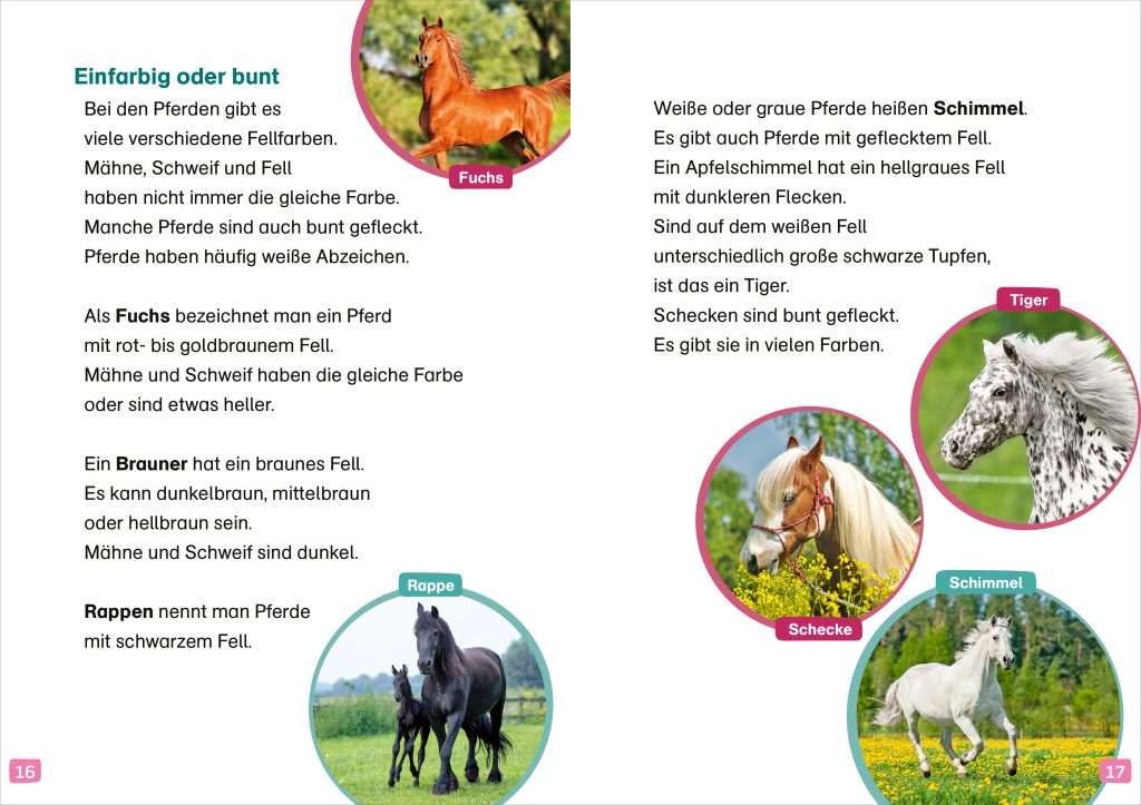 WAS IST WAS Erstes Lesen. Pferde und Ponys